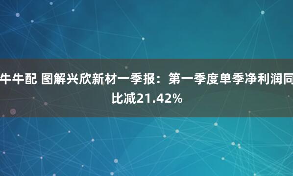 牛牛配 图解兴欣新材一季报：第一季度单季净利润同比减21.42%