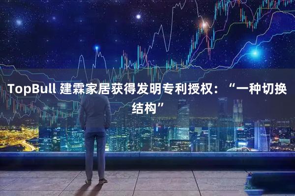 TopBull 建霖家居获得发明专利授权:“一种切换结构”
