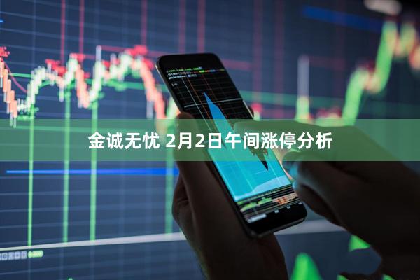 金诚无忧 2月2日午间涨停分析
