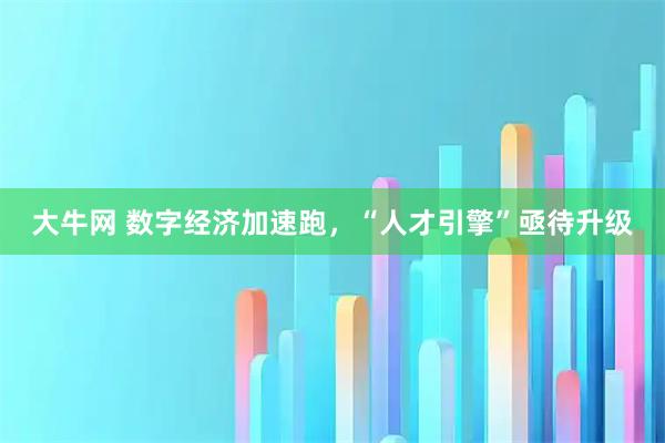 大牛网 数字经济加速跑，“人才引擎”亟待升级